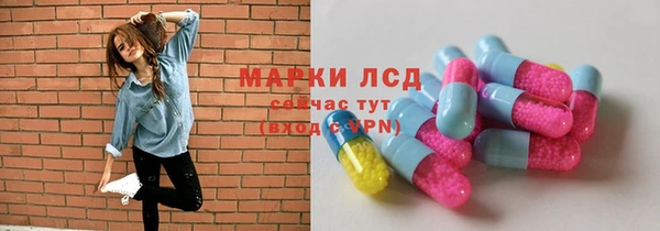 хмурый Алзамай
