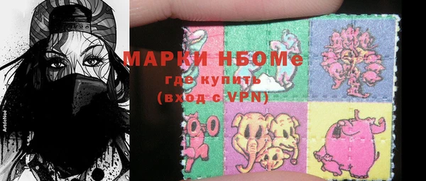 хмурый Алзамай