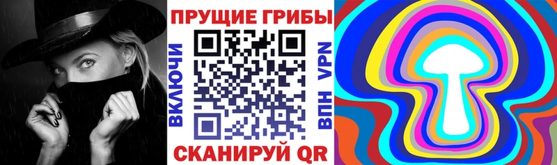 MEGA tor  Ливны  Псилоцибиновые грибы Psilocybe 