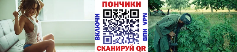 Шишки марихуана семена  мега рабочий сайт  Ливны 